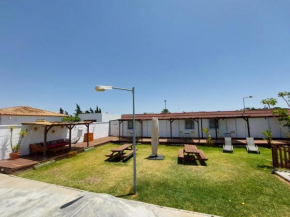 Single Fin Conil